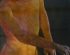 painting_thumb