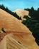 painting_thumb