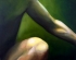 painting_thumb